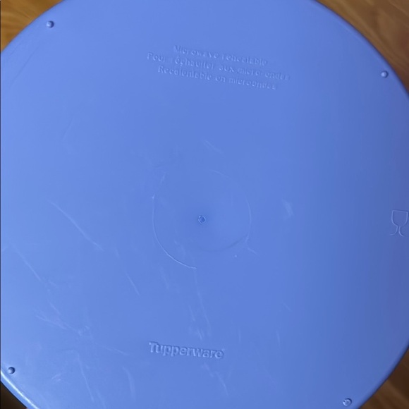 Tupperware White and Blue Food Storage Container - Picture 5 of 5